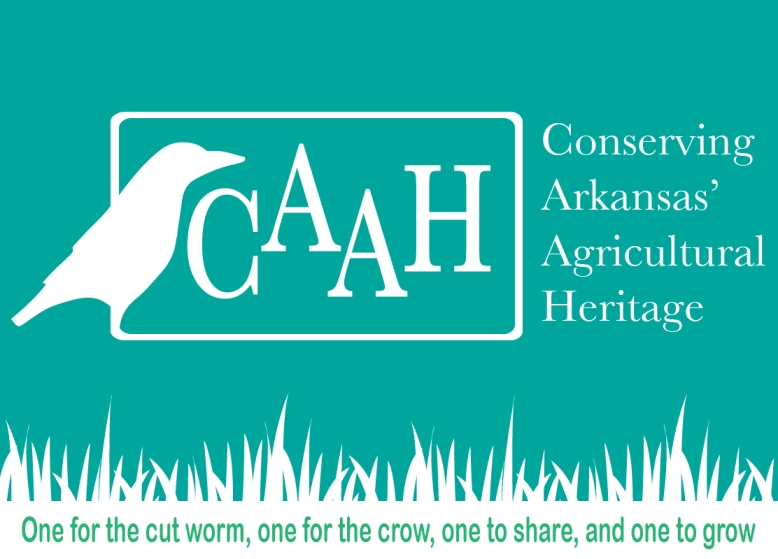 CAAH-logo-for-front-of-webpage
